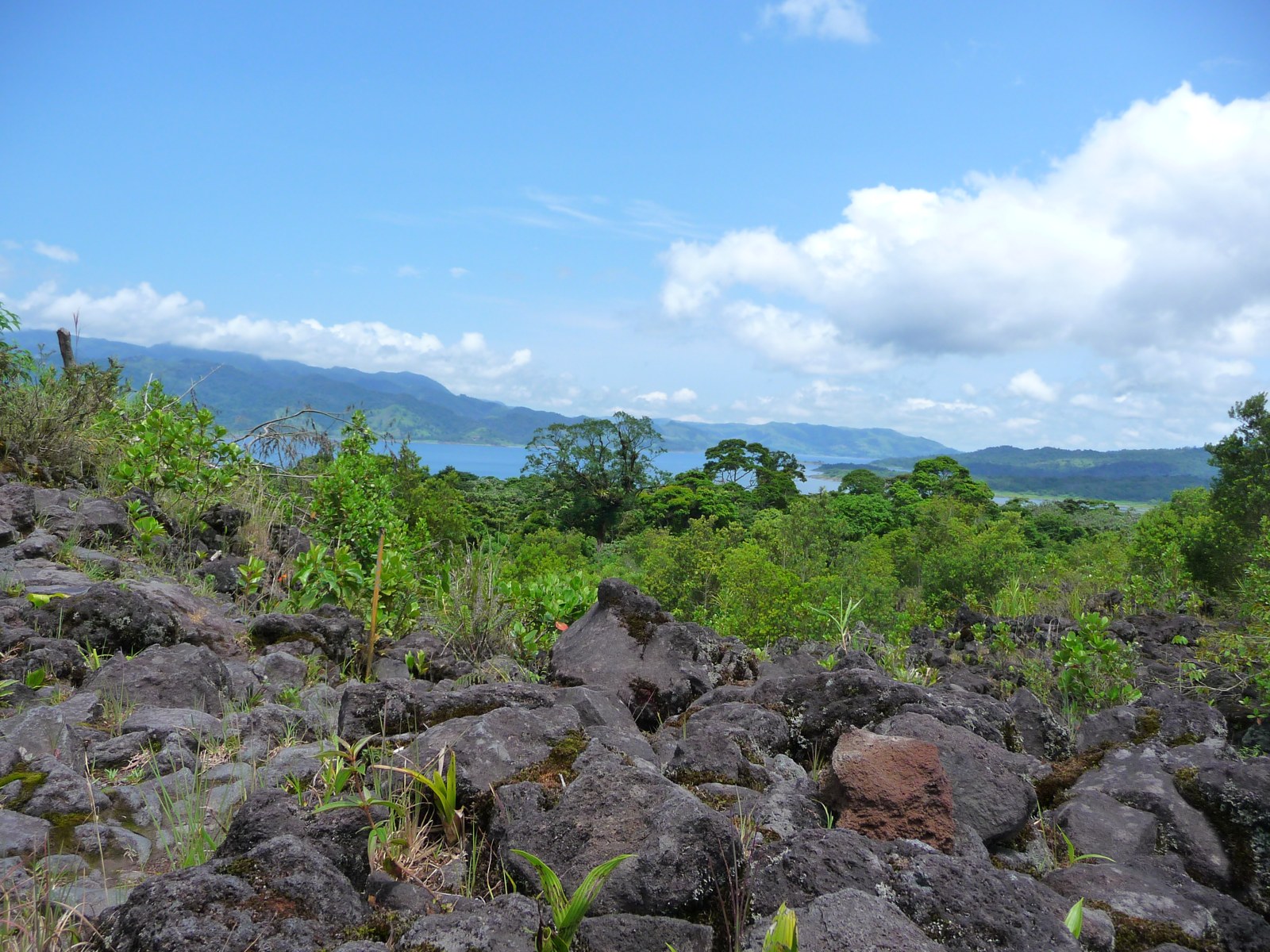 Old lava rocks and forest overlooking Lake Arenal in Arenal Volcano National Park